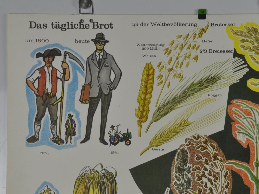 Foto & Immagini: Schulwandbild: "Das tägliche Brot" -Lagerplatz: #engels – Usato da Härkingen venduto da sammelbecken 1