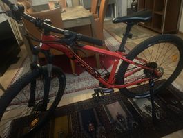 X-Caliber 8 (2017) MTB-Hardtail