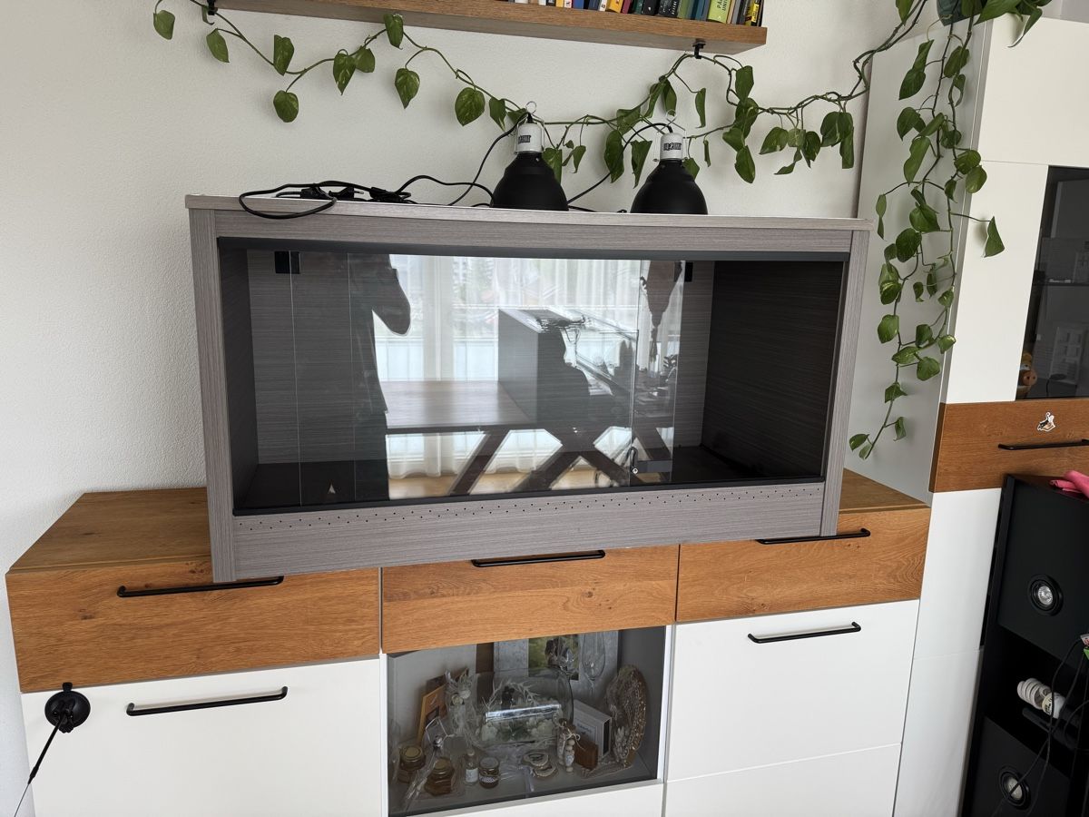 Terrario: Endura Forex Terrarium – Usato da Sennwald venduto da hosszidavid