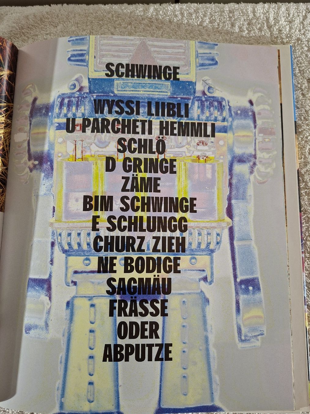 Libri: Bärn Biet, von Peter Aeschbacher – Usato da Grindelwald venduto da carro5 7