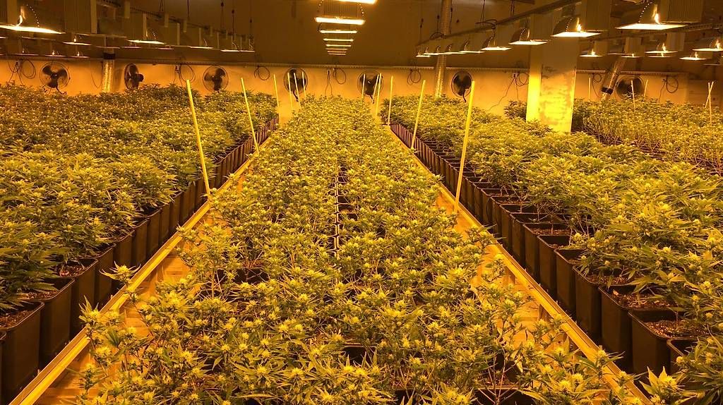 Alle Werkzeuge: CBD Material – Gebraucht aus Schangnau von windkraft 1