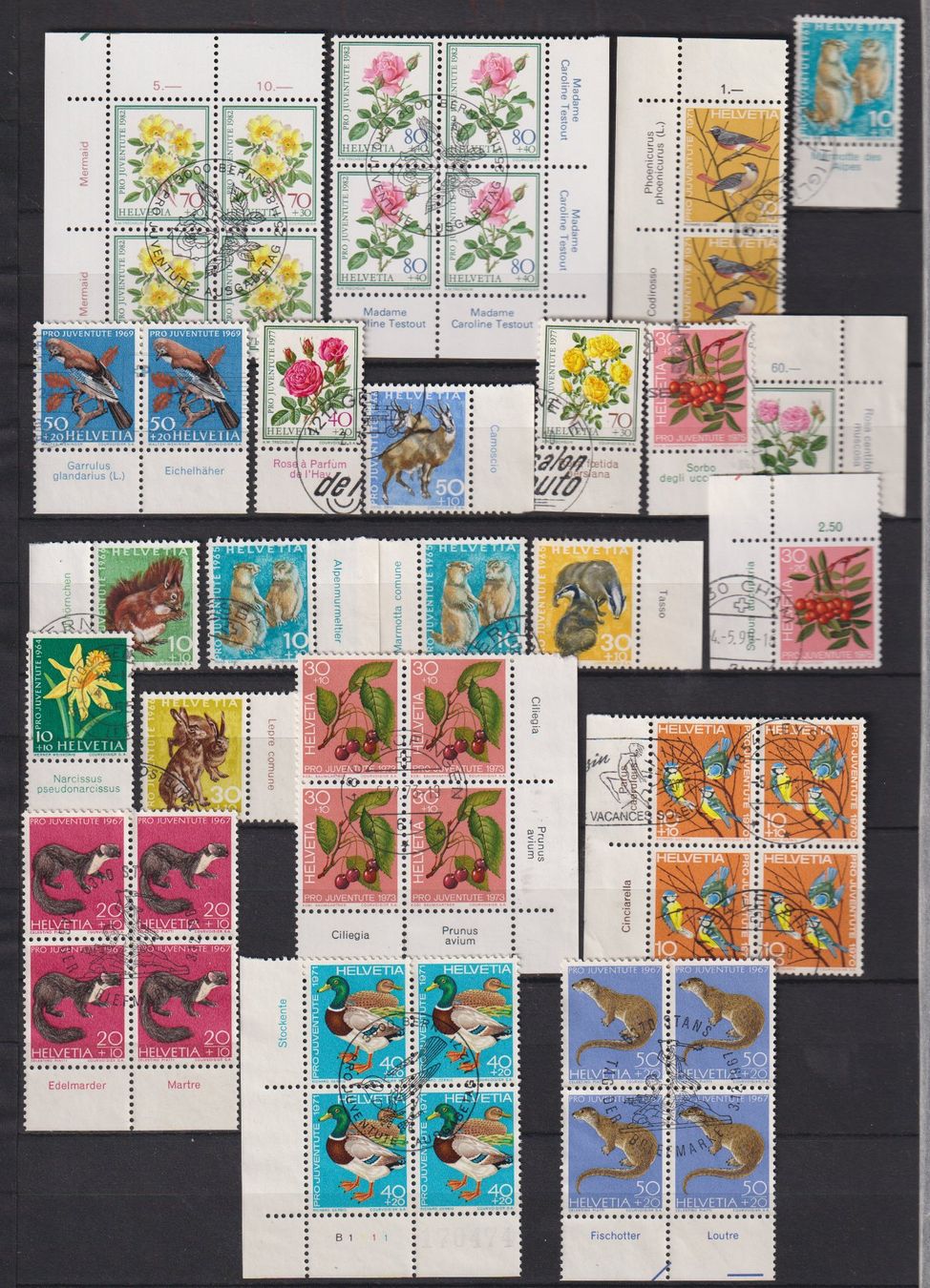 Alle Briefmarken: Grosses Lot PJ mit Tabs. Gest. & ungest. – Gebraucht aus Koblenz von Boerse6 1