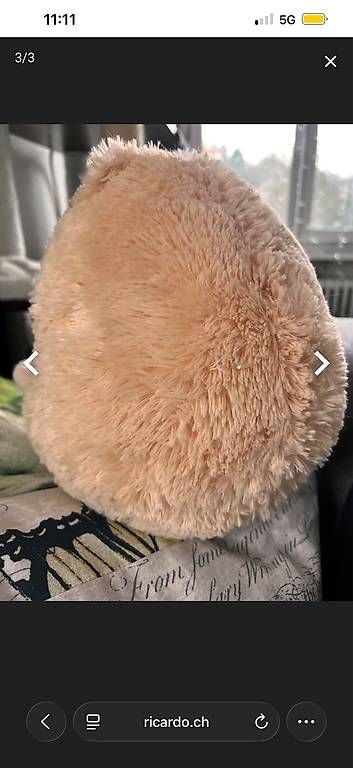Jouets: süsser Plüsch hamster – D'occasion à Niederglatt ZH par NICELODEON18 2