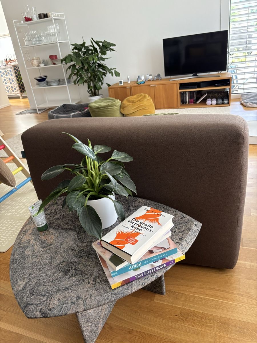 Poltrone: Sessel – Usato da Weisslingen venduto da Honey_33 3