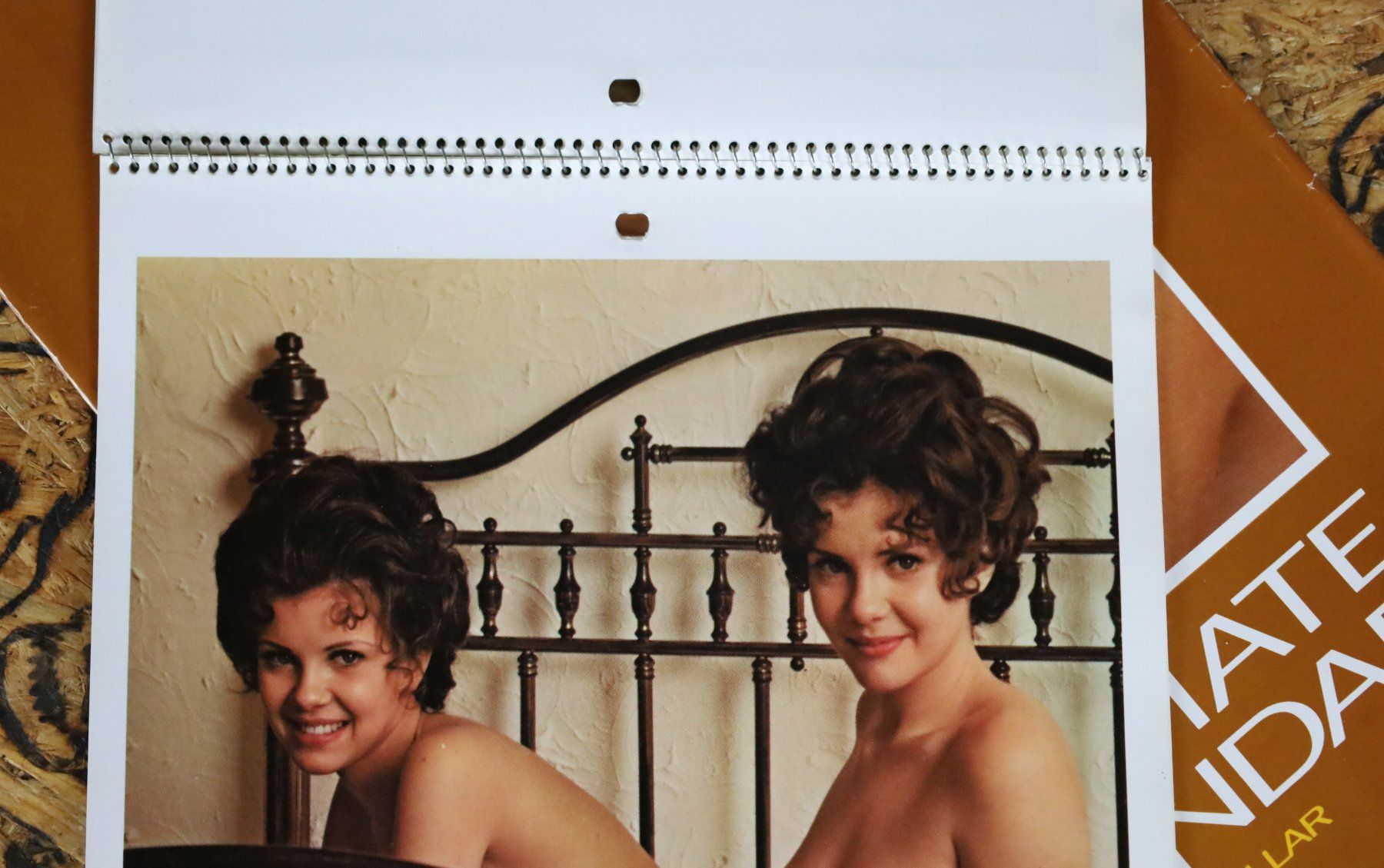 Playboy Calendari: PLAYBOY Kalender 1972 – Usato da Birrwil venduto da brandschatz_birrwil 5