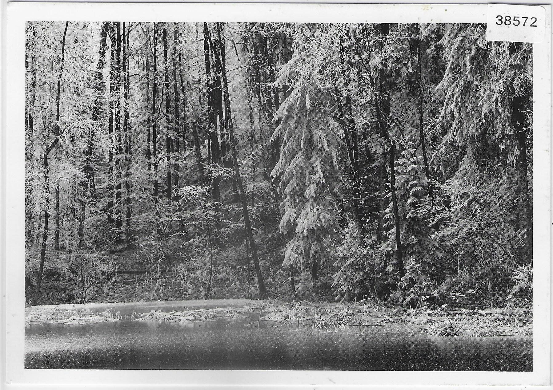 Cartoline postali: Sihlwald im Winter – Usato da Ettingen venduto da Kartenplanet