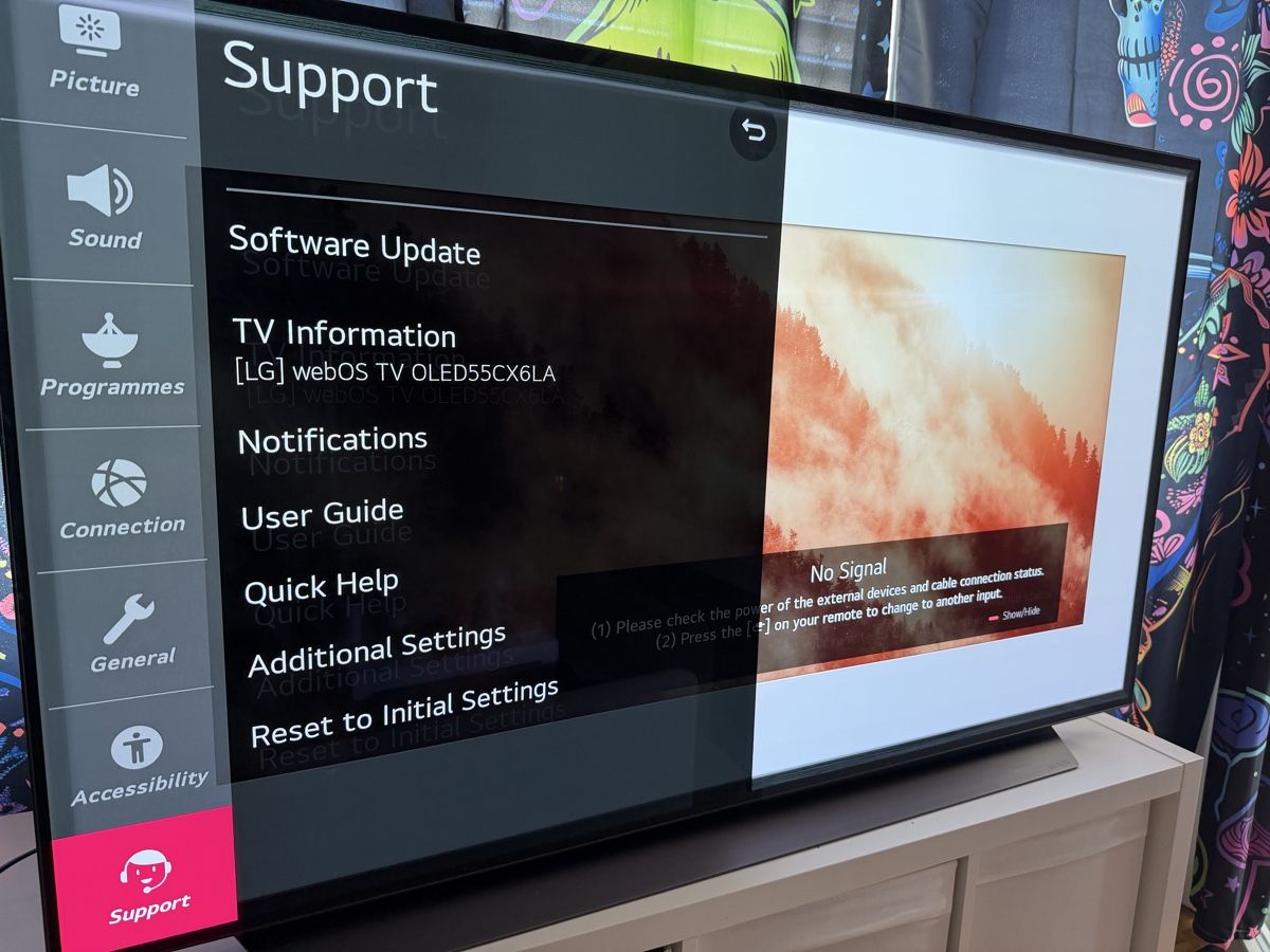 LG Televisori: LG OLED55CX6LA 55” – Usato da Unterseen venduto da pinandgreen 1