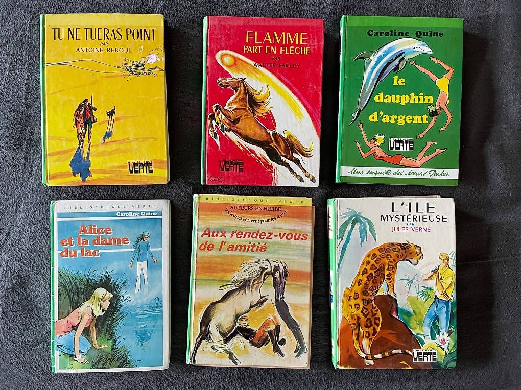 Libri: Bibliothèque verte - 16 livres – Usato da Yvonand venduto da Musicman5 2