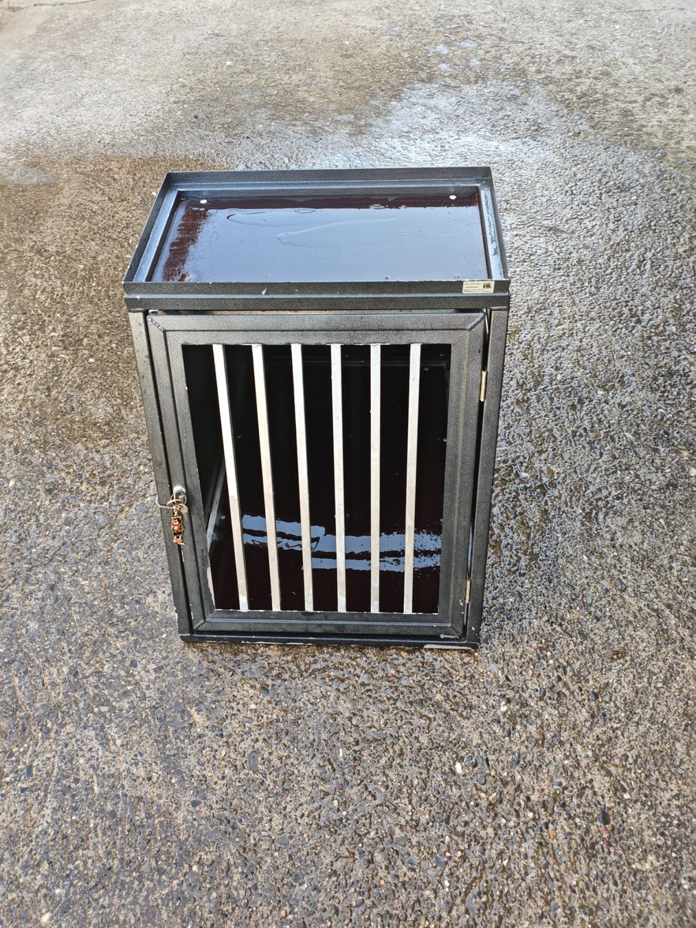 Gabbie, trasporto & Sicurezza: Hundebox – Usato da Bergdietikon venduto da sim_sk9y 2