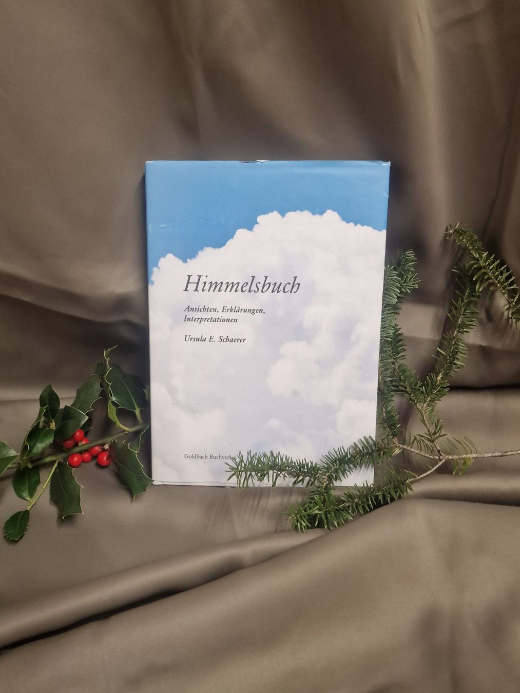 Libri: Himmlisch! - Ursula E. Schaerers Himmelsbuch, Top Zustand – Usato da Zumikon venduto da pat_m55d