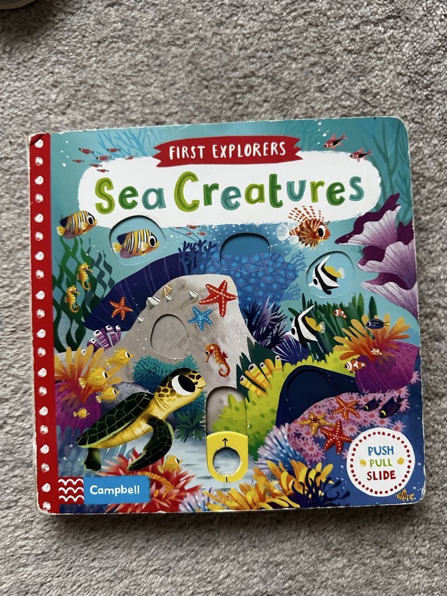 Libri: English kinder baby Buch Eric Clare interactiv – Usato da Thalwil venduto da klaudiamusiol 2