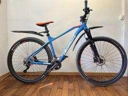 Thömus Tomcat 29” Mountainbike, revidiert, top Zustand