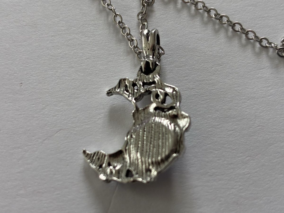 Catenine: Moon Necklace Silver Colored Used Condition – Usato da Basel venduto da cat_sq5m 2