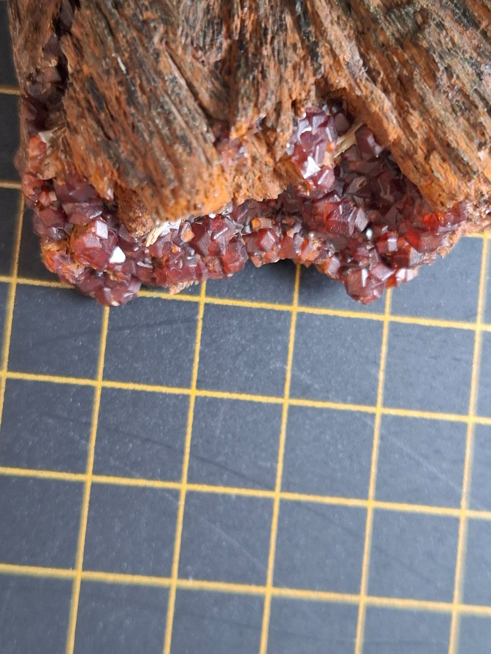 Minerali & Pietre curative: Ein Mineral mit Granaten – Usato da Zwieselberg venduto da Halifaxmendusli 5