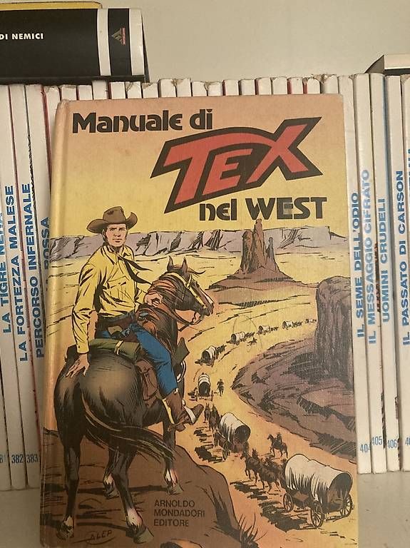 Fumetti: Collezione tex willer – Usato da S. Antonino venduto da raffosuisse