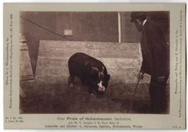 Fotografie H. Schnaebeli, Berlin, Ausste