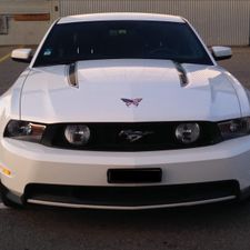 Profile image of TomMustang