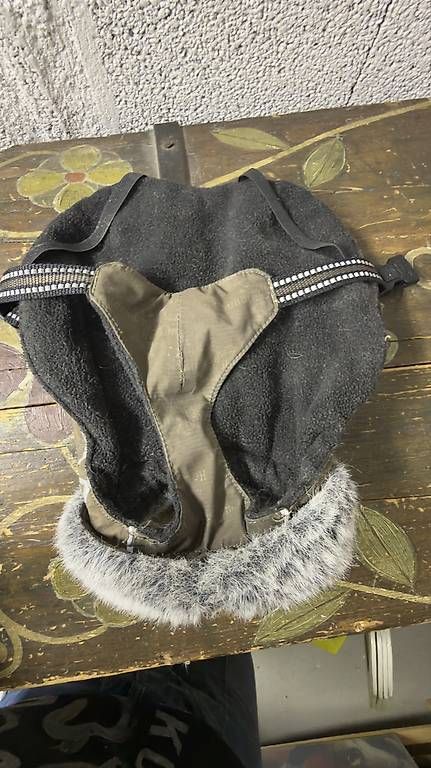 Bekleidung: Hurta Hundemantel S – Gebraucht aus Wittenbach von cloclo4 1