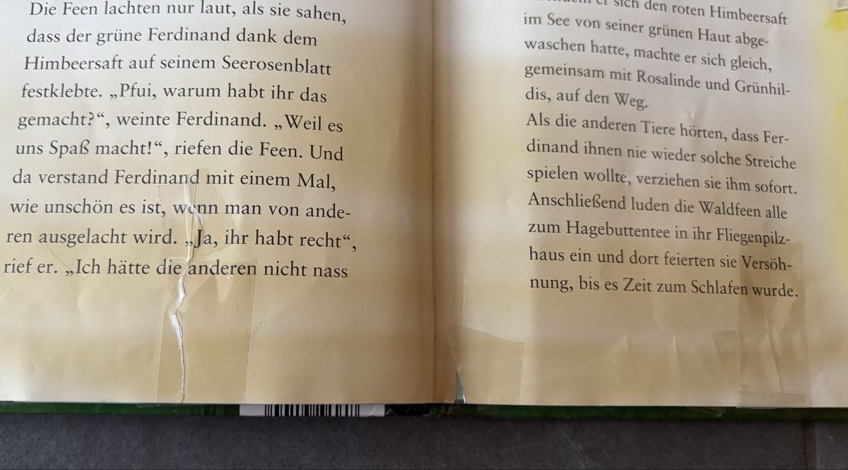 Libri: Märchenbuch "Geschichten aus dem Feenwald" – Usato da Herzogenbuchsee venduto da MoLa85 8