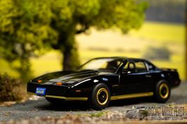 Pontiac Firebird III TransAm 1982 schwarz / Gold        1:43