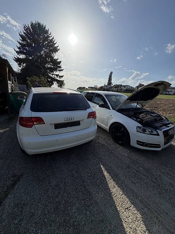 Tutti pezzi di ricambio auto: Audi a3 8p en pièces  – Difettoso da Morens FR venduto da Abiulense3100 3
