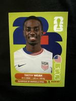 USA 12