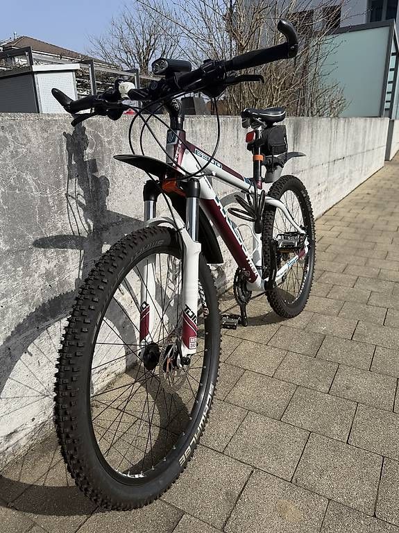 Velos: Bike  – Gebraucht aus Strengelbach von Mischi75 2