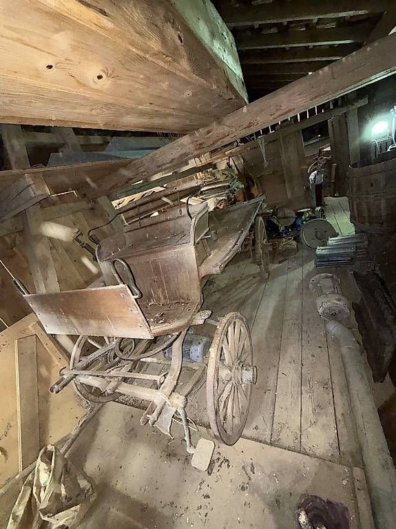 Carrozze: Alte Pferdekutsche – Usato da Ohmstal venduto da skorpionland