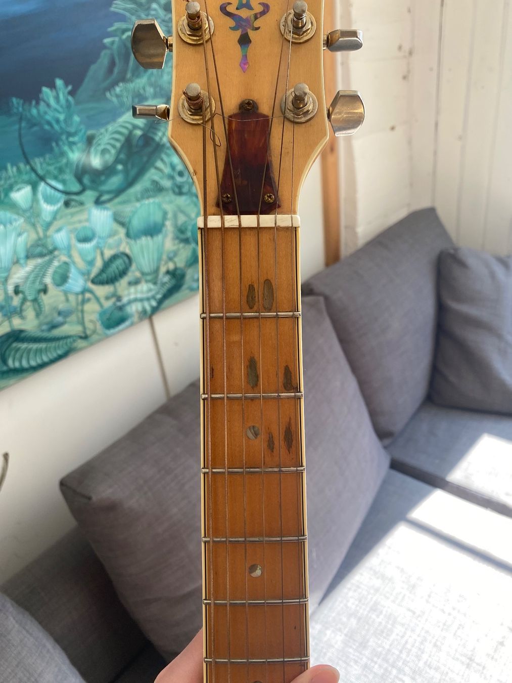 Strumenti musicali: Westerngittare Ibanez – Usato da Trogen venduto da ste_2qql 6