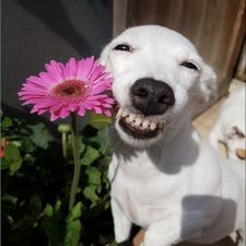 Profile image of Super_Nova7