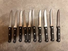 Steakmesser von Lunasol 10Stk