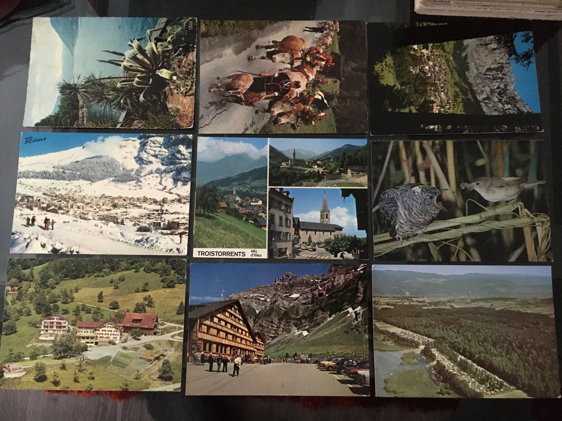 Cartoline postali: 9x ancienne carte Postale Postkarten CH – Usato da Grand-Lancy venduto da Dany1973