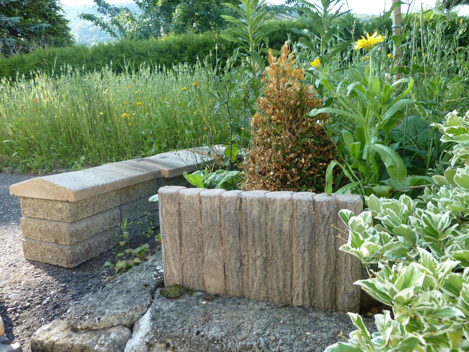 Bücher: Beton Palisade 25 mit Holzimitation – Neu (gemäss Beschreibung) aus Herbetswil von AHA-Garten 4