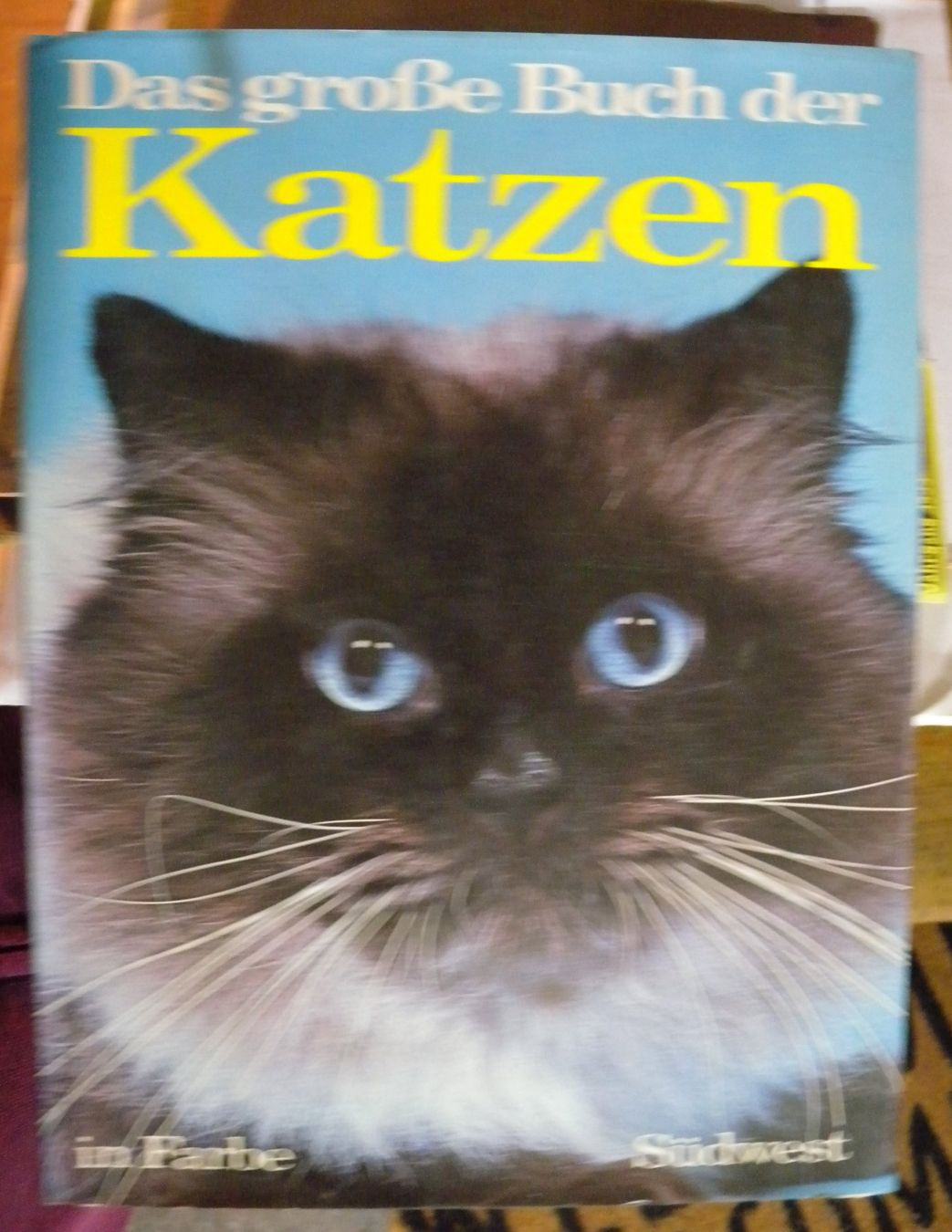Livres: Das grosse Buch der Katzen – D'occasion à Hauenstein par davia72