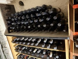 Riesige weinsammlung 500 Stück 