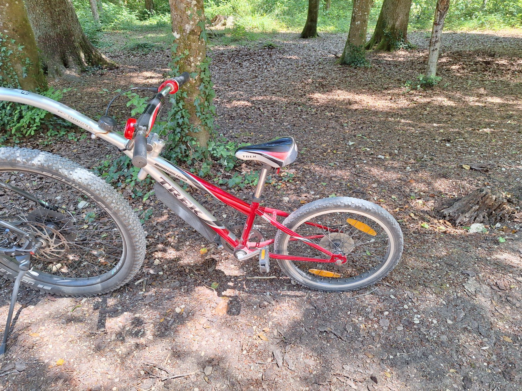 Rimorchi: Trailerbike – Usato da Diepflingen venduto da ska