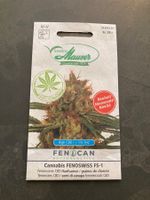 CBD Samen Maurer