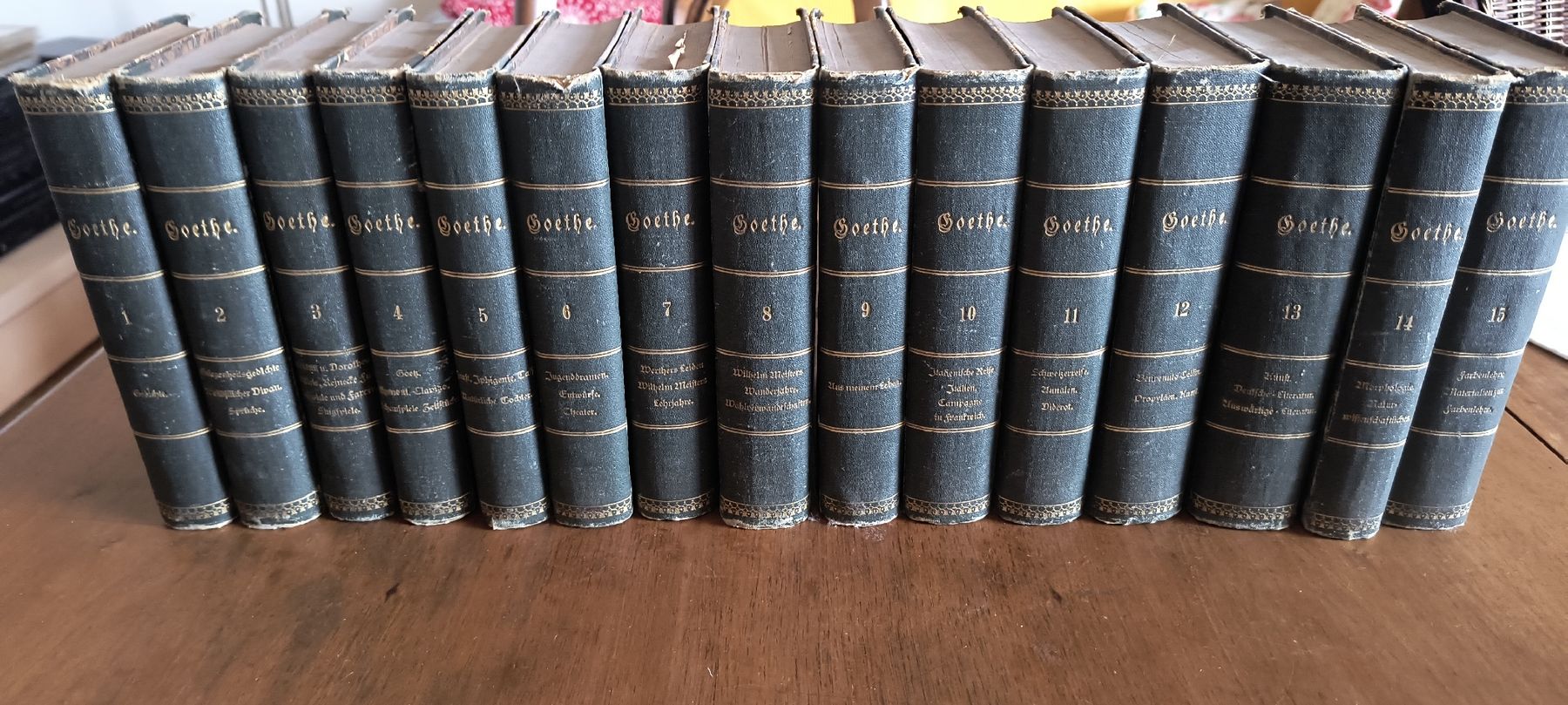 Libri: Goethe "Sämtliche Werke" 1876 15 Bände – Usato da schaffhausen venduto da walu