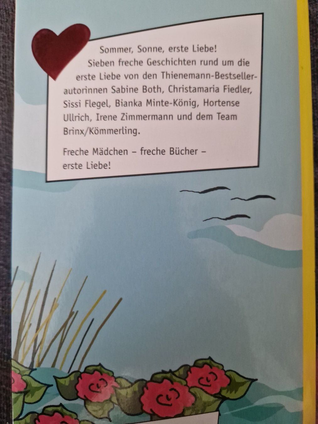 Bücher: Sommer, Sonne, erste Liebe! 7 Kurzgeschichten – Gebraucht aus Neuhausen am Rheinfall von Alchimista 1