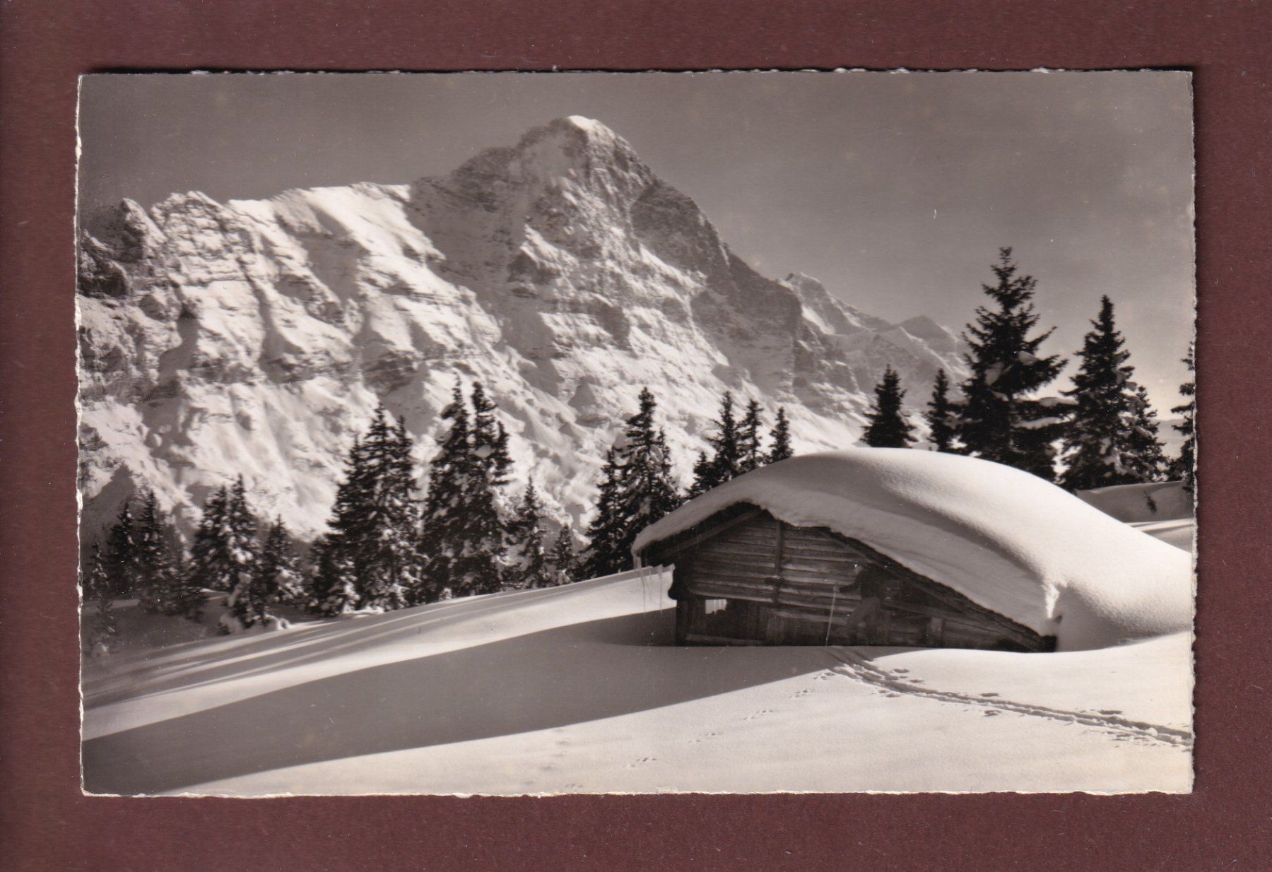 Cartoline postali: Bei GRINDELWALD - 1955 – Usato da Pully venduto da nicecards