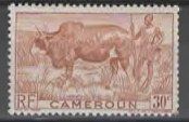 CAMEROUN : HIRTE mit BÜFFEL   (25