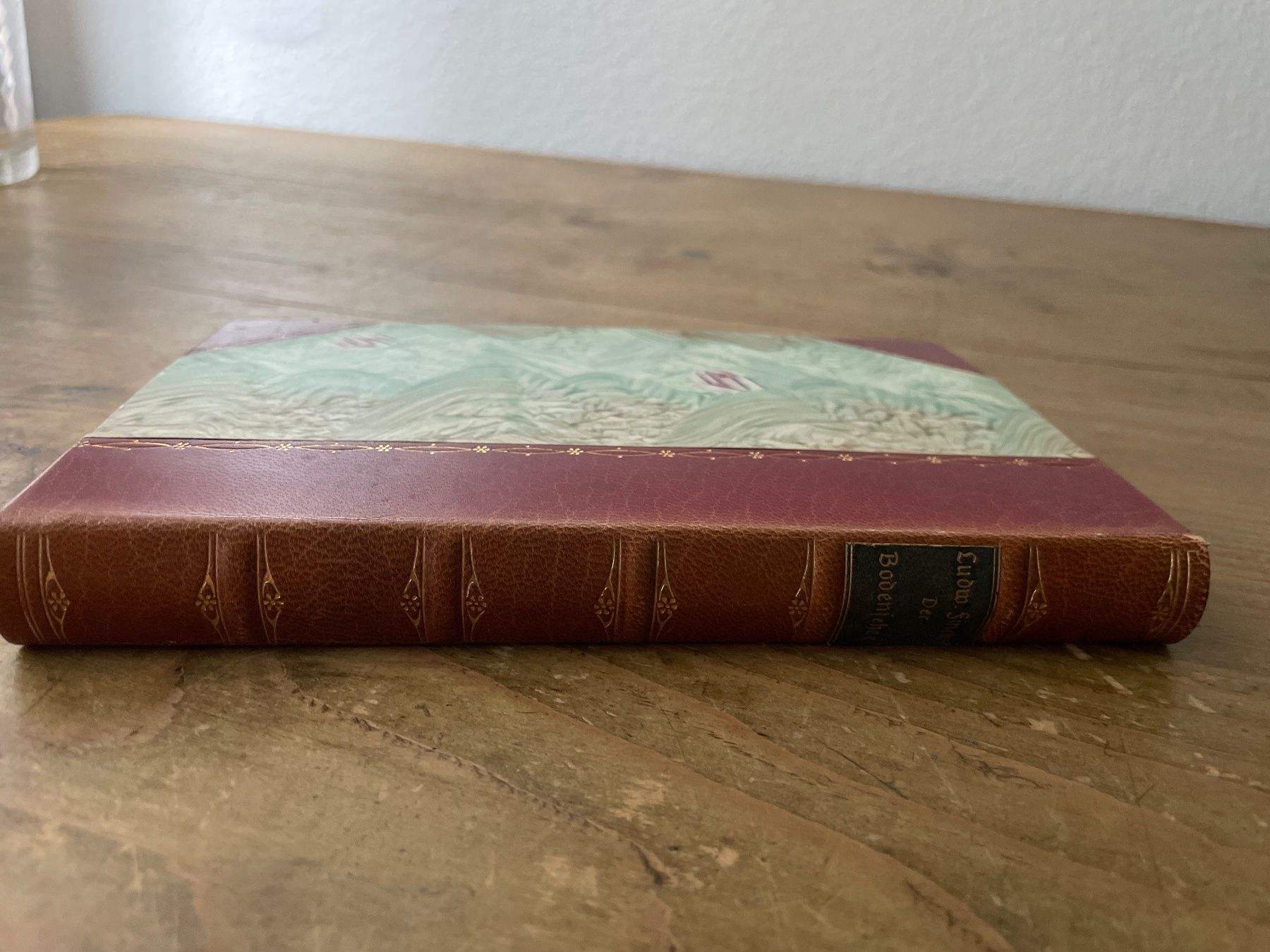 Libri: Der Bodenseher -Ludwig Finckh 1914 – Usato da Winterthur venduto da cheerio97 1