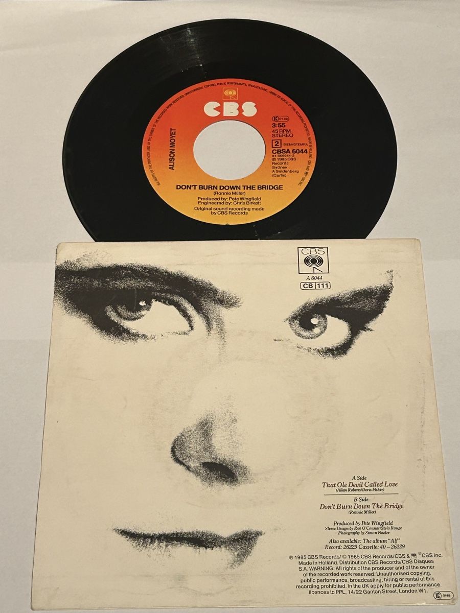 Dischi in vinile: Alison Moyet. 1985. That Ole Devil Called Love – Usato da Faulensee venduto da Mizuno06 1