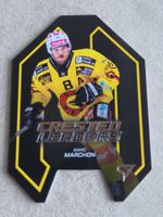 Sportzoo Crested Leaders   Marchon  Bern