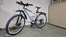 Vélo Wheeler Passera XT-20 Dame