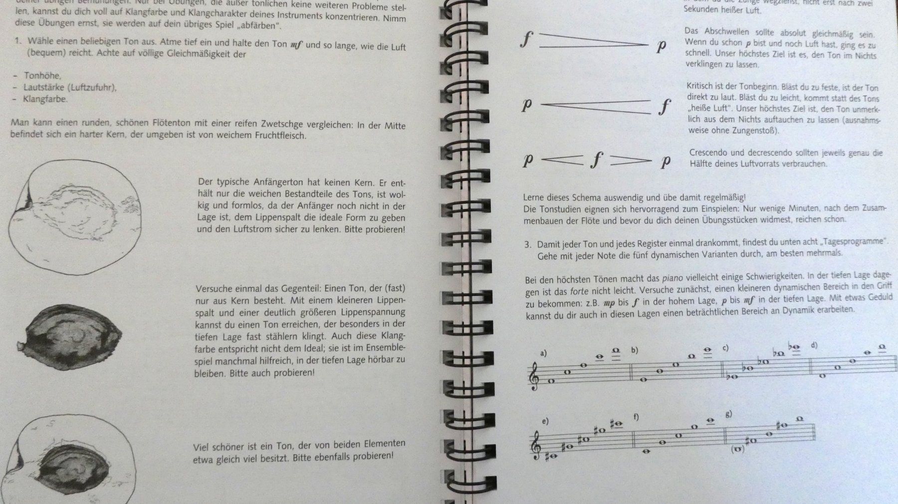 Libri: Das Querflötenbuch 2 - von klassisch bis modern – Nuovo (secondo la descrizione) da Wettingen venduto da papageno48 7