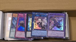 YU-GI-OH! Kartensammlung