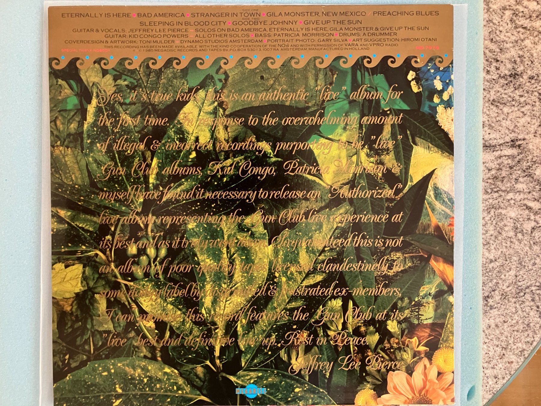 Dischi in vinile: The Gun Club – Usato da Aarwangen venduto da Jukebox3 2
