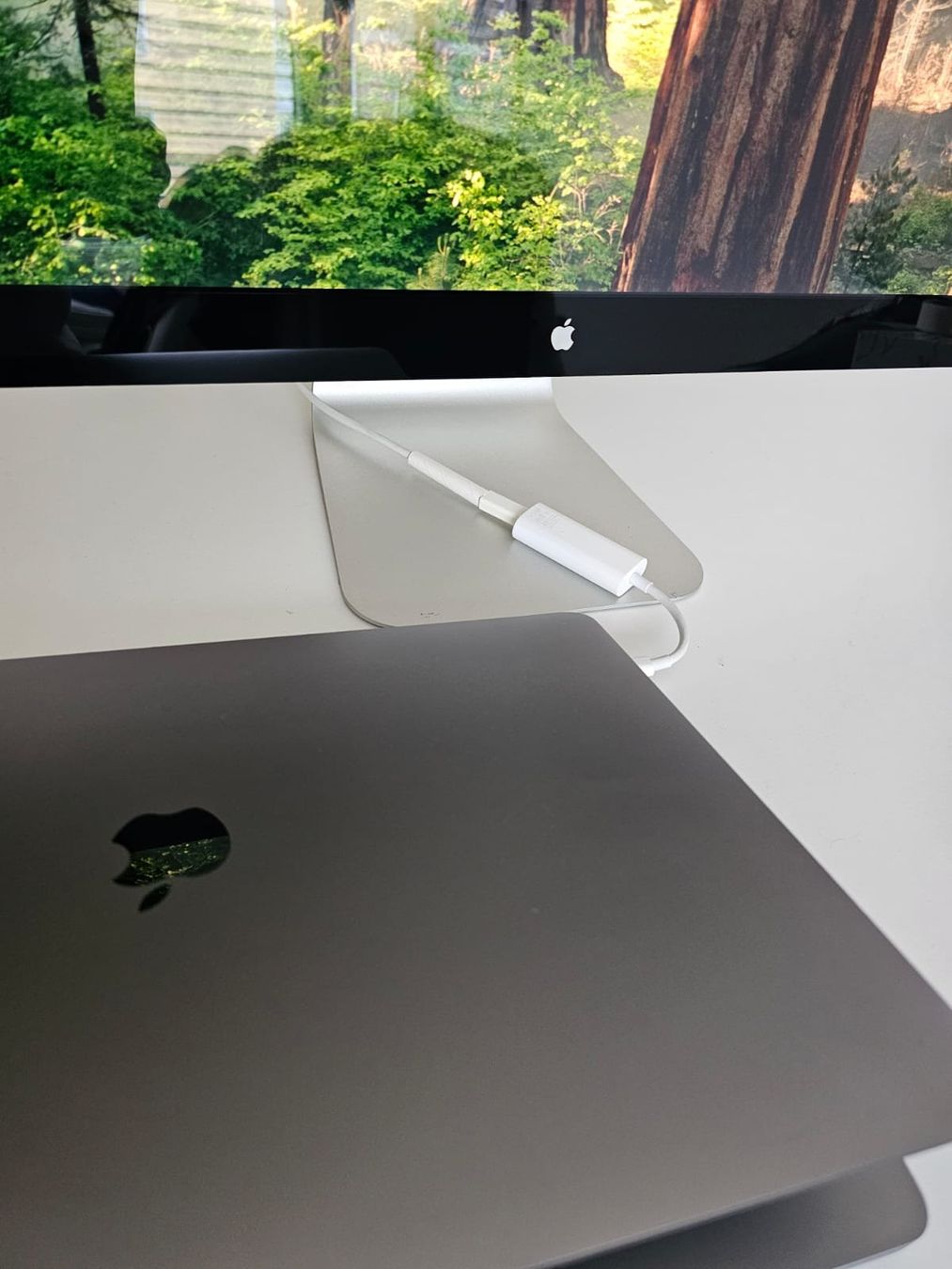 Apple Monitore: Apple Thunderbolt Display 27” A1407 – 2560×1440 Retina IPS – Gebraucht aus Wettingen von bestrox 1