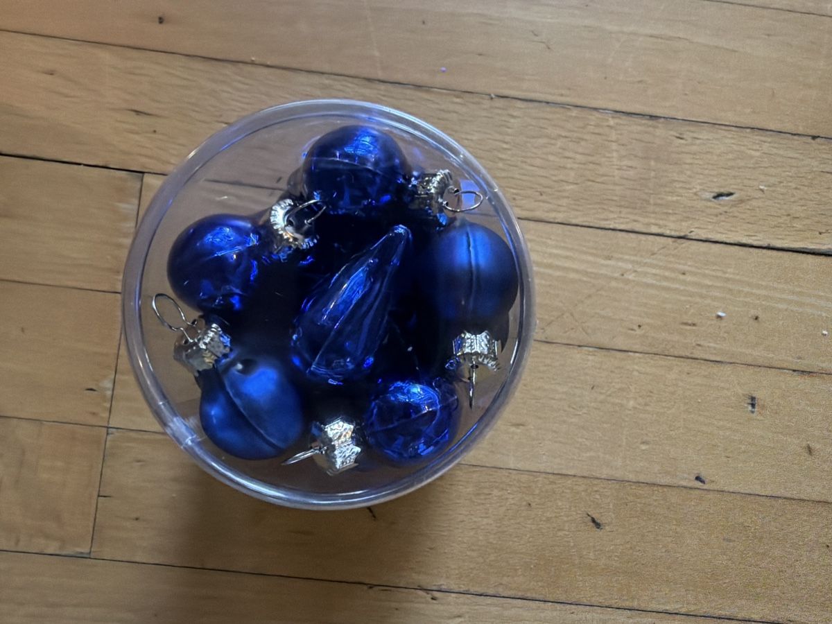 Migros Tutte le decorazioni: Weihnachtskugeln Set Blau Herzform in Kunststoffbox Neu – Nuovo e nell'imballaggio originale da Seuzach venduto da CarmelinaFerraris 1